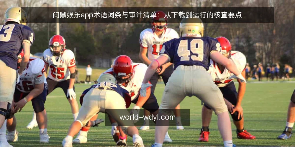 问鼎娱乐app术语词条与审计清单:从下载到运行的核查要点 — 为何现在审计:下载前先厘清术语 配图