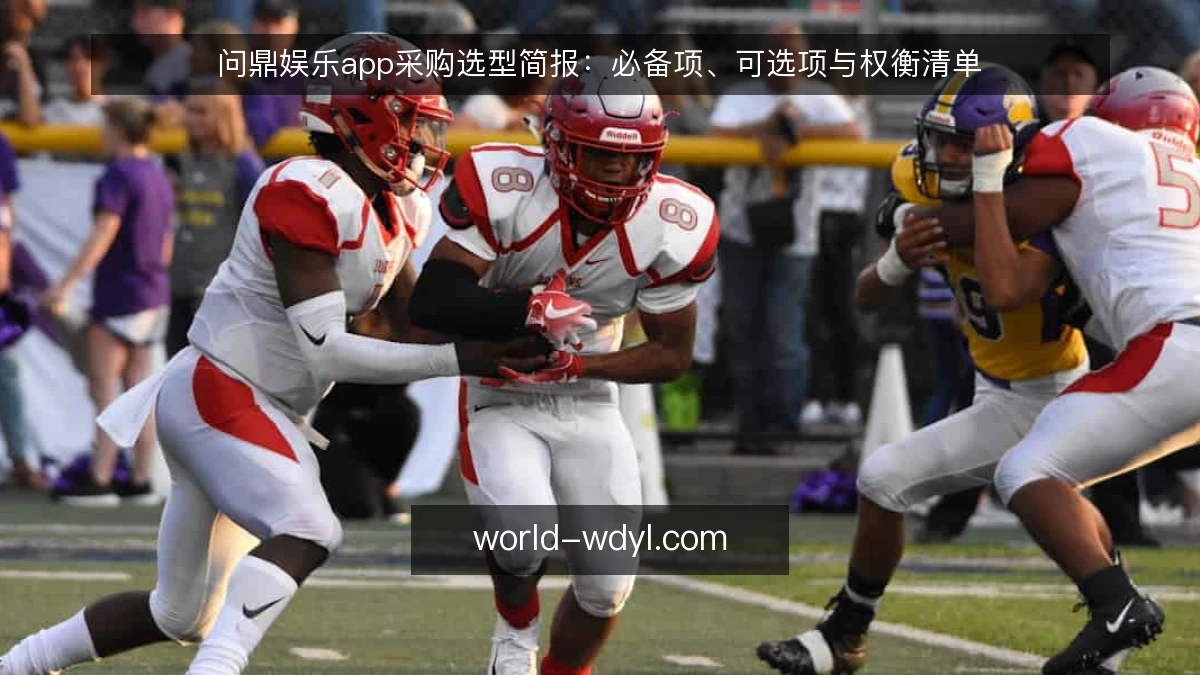 问鼎娱乐app采购选型简报:必备项、可选项与权衡清单