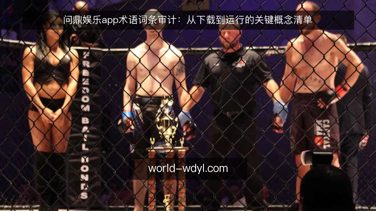 问鼎娱乐app术语词条审计:从下载到运行的关键概念清单