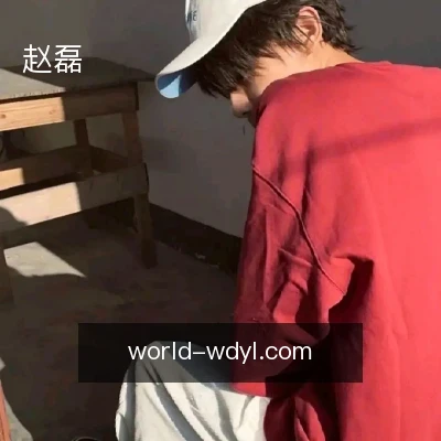 赵磊