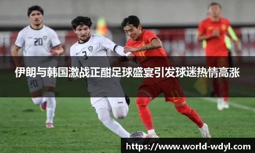 伊朗与韩国激战正酣足球盛宴引发球迷热情高涨
